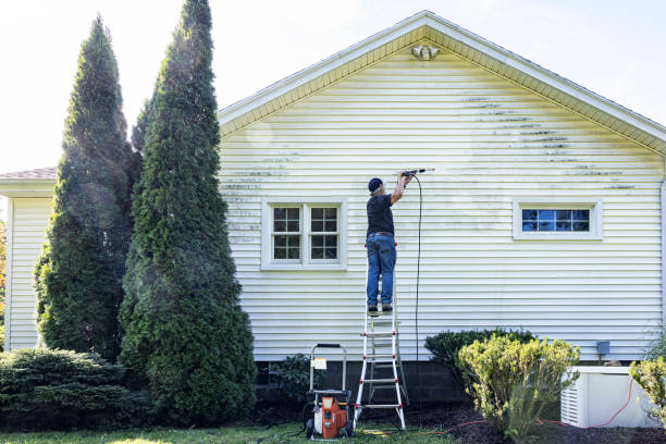 Best Driveway Pressure Washing  in Neptune Beach, FL
